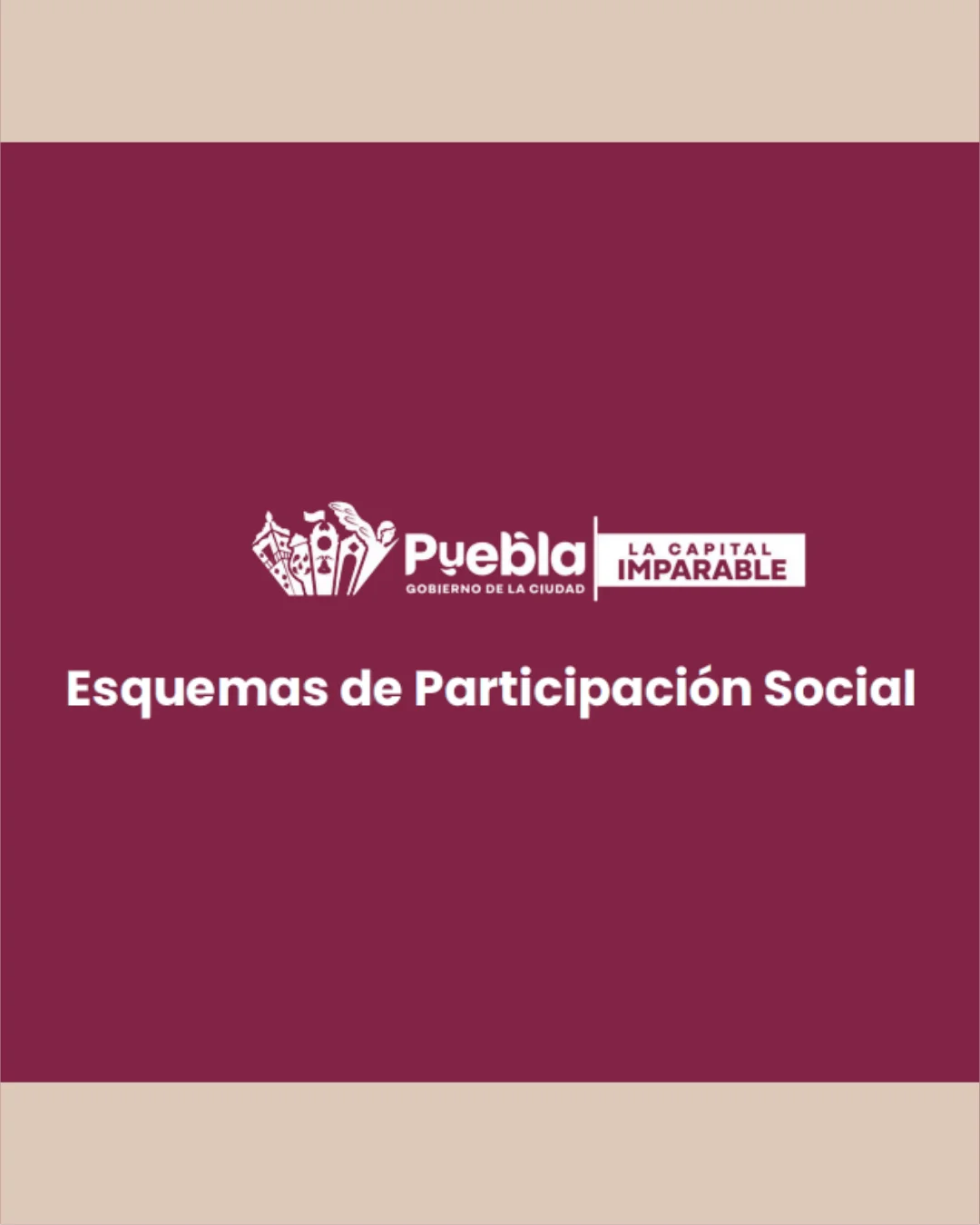 Esquemas de Participación Social
